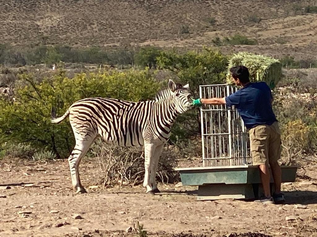 Aardvark Bioreserve Ladismith Ngoại thất bức ảnh